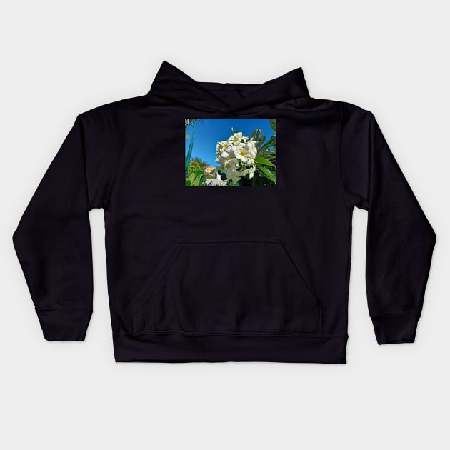 Frangipani in the Bahamas Kids Hoodie by Kirkcov